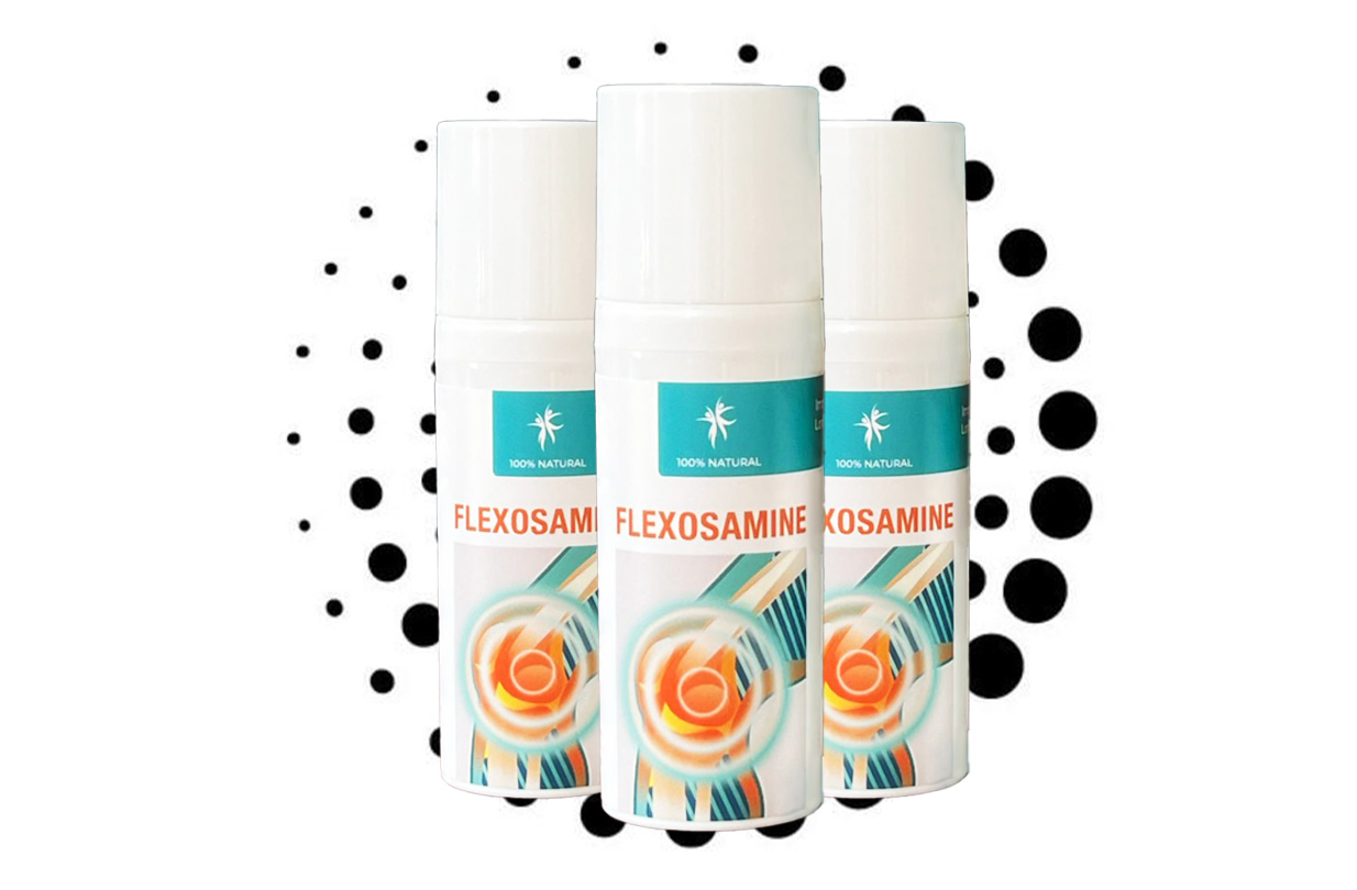 Velký obrázek složení Flexosamine